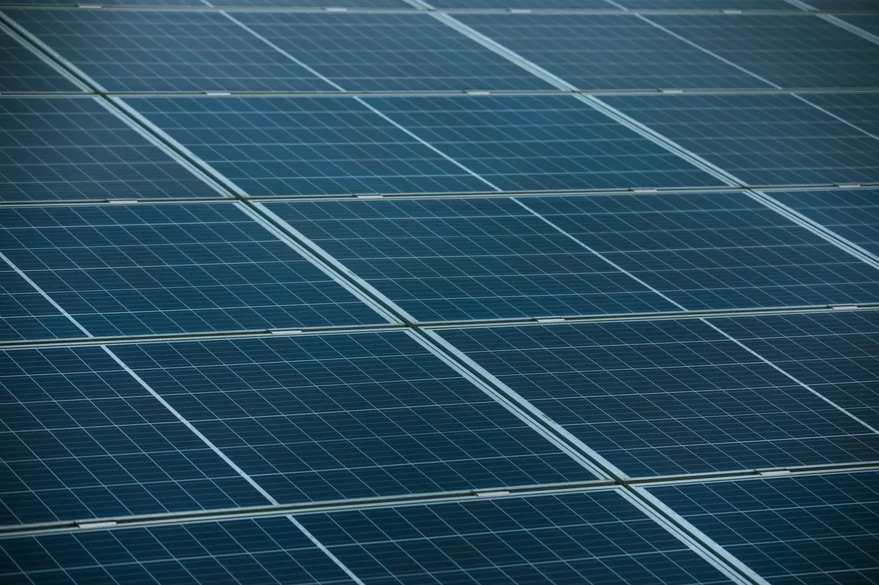 Commercial solar plant installation surrounded by nature