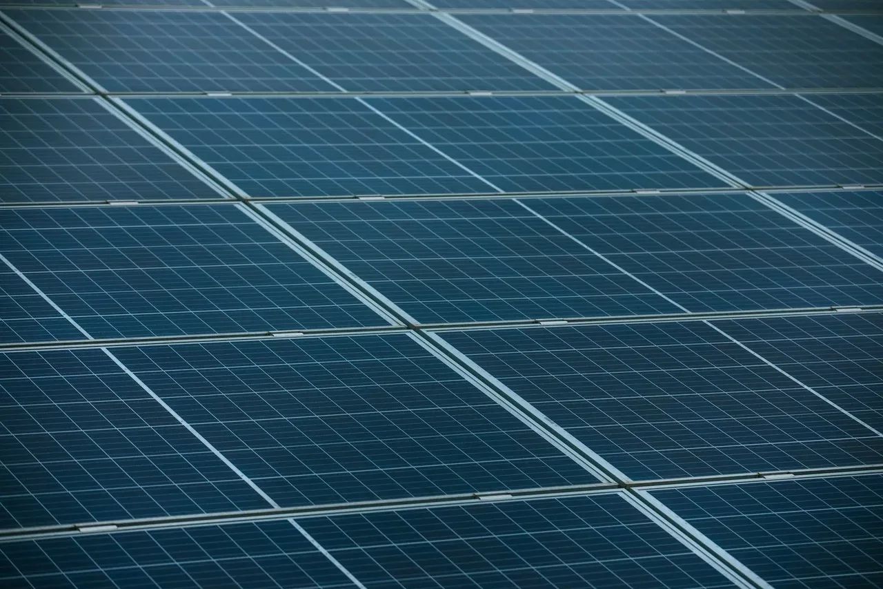 Commercial solar plant installation surrounded by nature