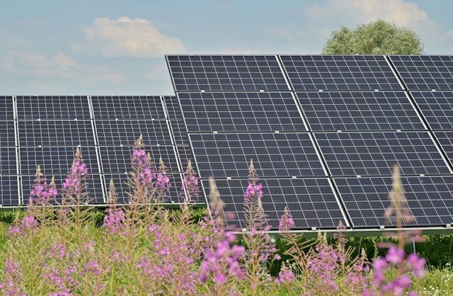 Large solar panel array in a field during cloudy day